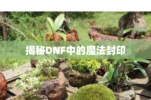 揭秘DNF中的魔法封印图片