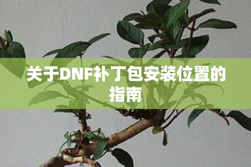 关于DNF补丁包安装位置的指南图片