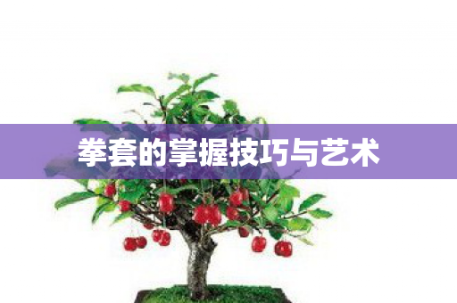 拳套的掌握技巧与艺术图片