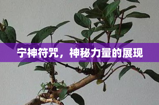 神秘力量的展现图片