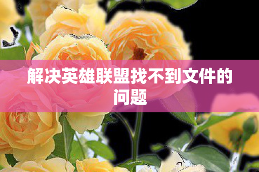 解决英雄联盟找不到文件的问题图片