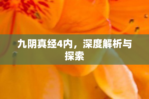 深度解析与探索图片