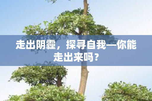 你能走出来吗图片