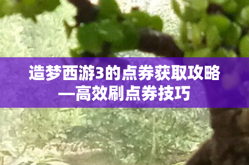 造梦西游3的点券获取攻略图片