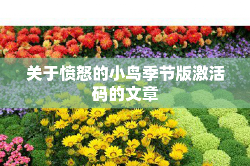 关于愤怒的小鸟季节版激活码的文章图片