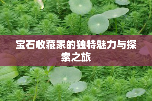 宝石收藏家的独特魅力与探索之旅图片