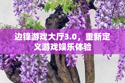 重新定义游戏娱乐体验图片