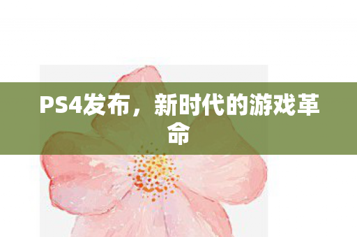 新时代的游戏革命图片