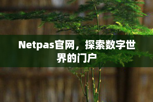 探索数字世界的门户图片