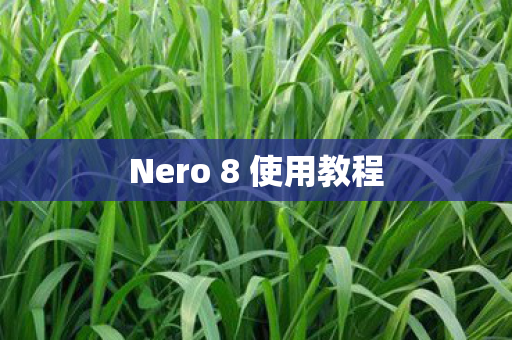 Nero 8 使用教程图片
