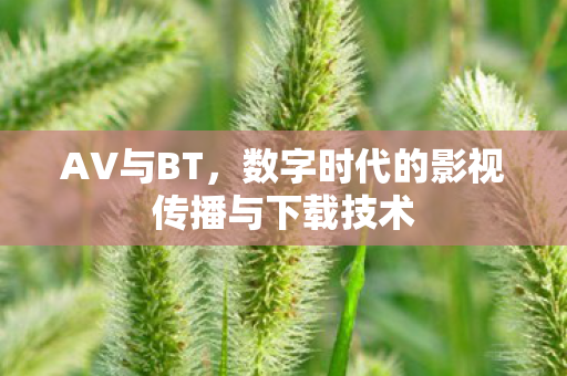 数字时代的影视传播与下载技术图片