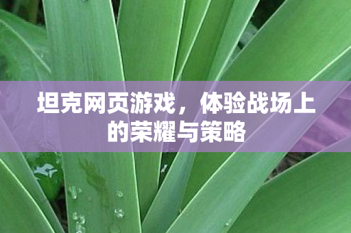 体验战场上的荣耀与策略图片