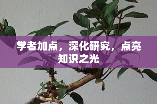 点亮知识之光图片