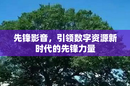 引领数字资源新时代的先锋力量图片