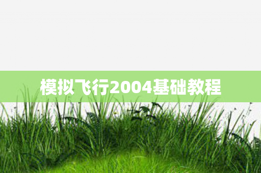 模拟飞行2004基础教程图片