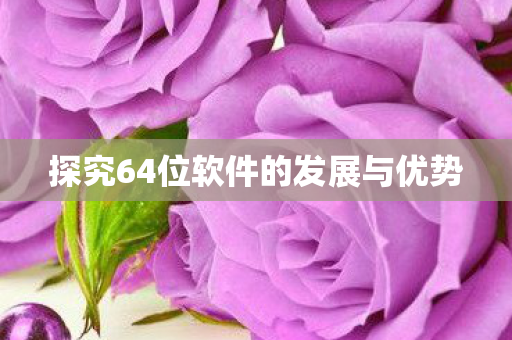 探究64位软件的发展与优势图片