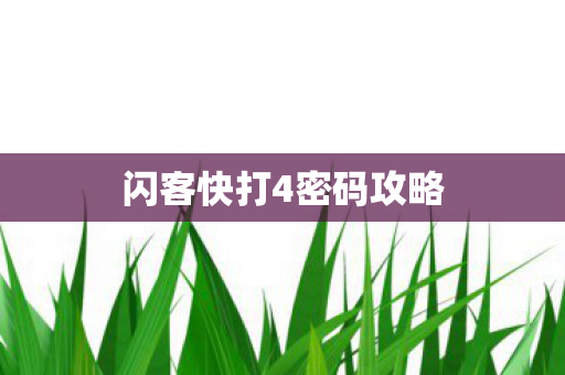 闪客快打4密码攻略图片