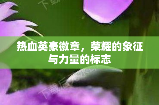 荣耀的象征与力量的标志图片