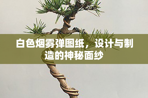 设计与制造的神秘面纱图片