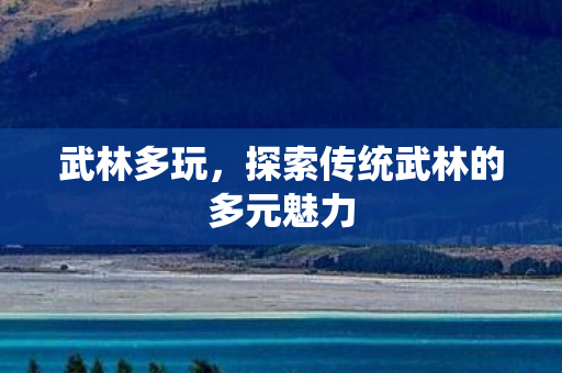 探索传统武林的多元魅力图片