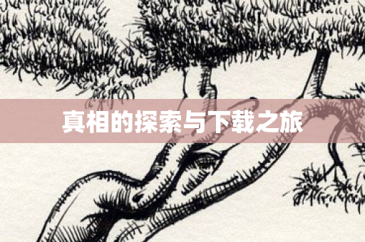 真相的探索与下载之旅图片