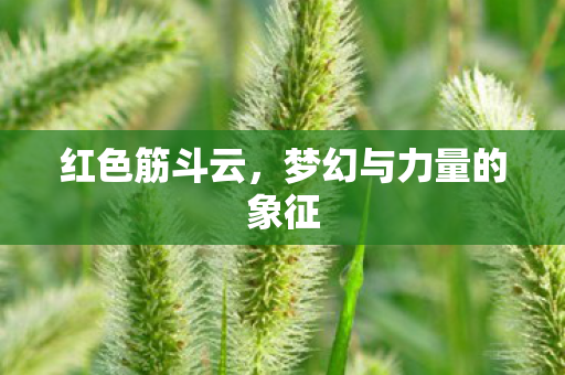 梦幻与力量的象征图片
