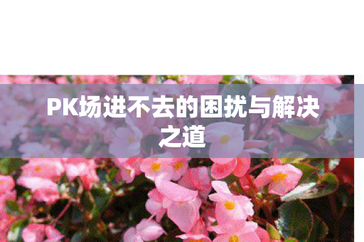 PK场进不去的困扰与解决之道图片
