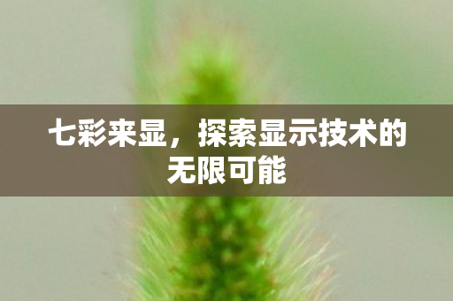 探索显示技术的无限可能图片