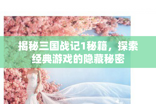 探索经典游戏的隐藏秘密图片