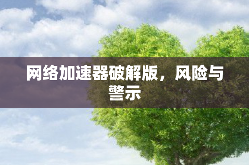 网络加速器破解版图片