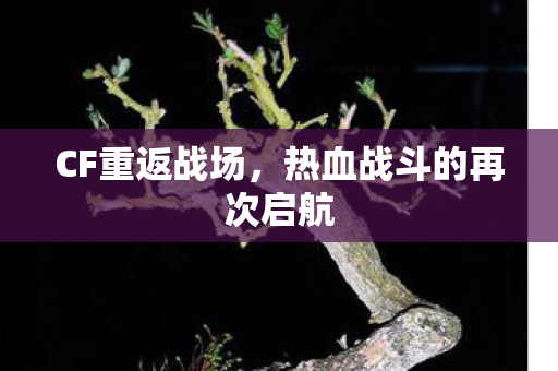 热血战斗的再次启航图片