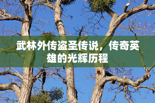 传奇英雄的光辉历程图片