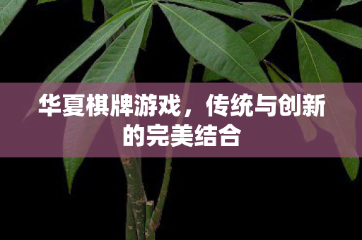 传统与创新的完美结合图片