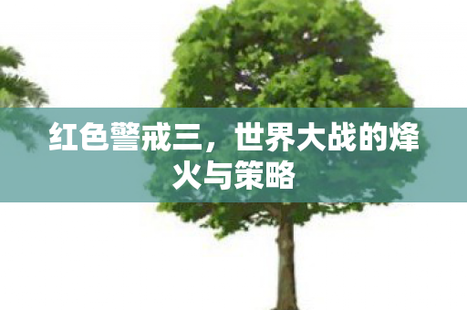 世界大战的烽火与策略图片