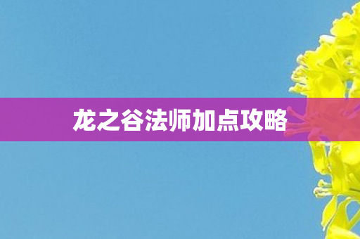 龙之谷法师加点攻略图片
