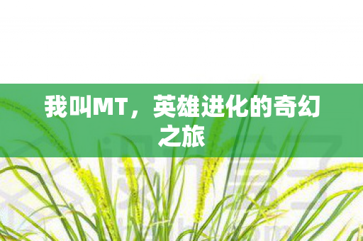 英雄进化的奇幻之旅图片