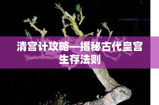 揭秘古代皇宫生存法则图片