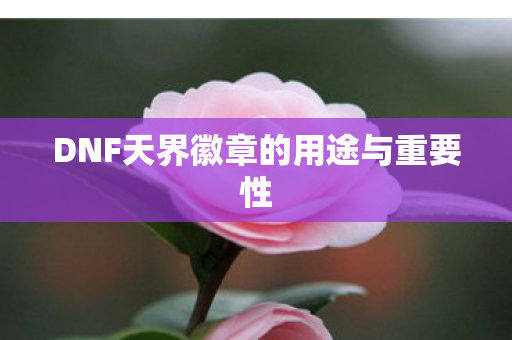 DNF天界徽章的用途与重要性图片