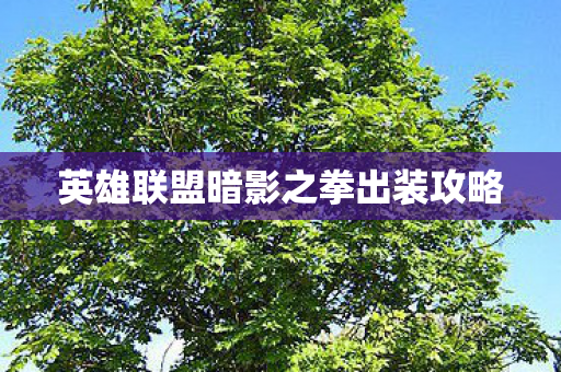 英雄联盟暗影之拳出装攻略图片