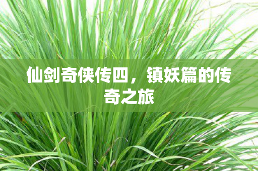 镇妖篇的传奇之旅图片