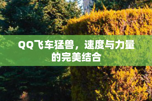 速度与力量的完美结合图片