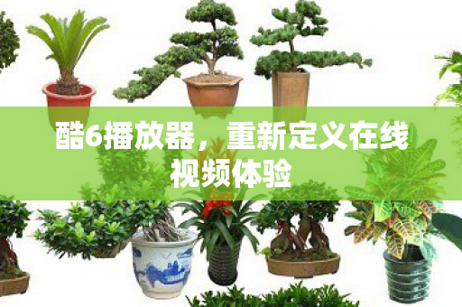 重新定义在线视频体验图片