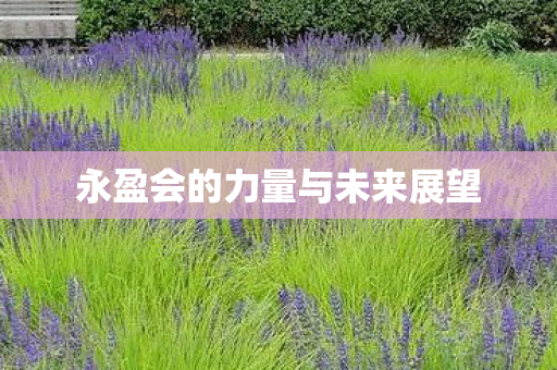 永盈会的力量与未来展望图片