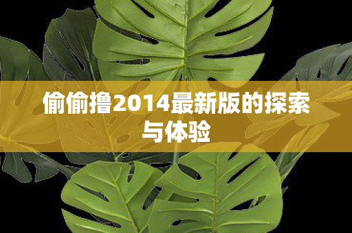 偷偷撸2014最新版的探索与体验图片