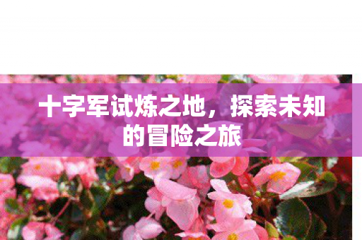 探索未知的冒险之旅图片