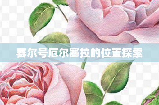赛尔号厄尔塞拉的位置探索图片