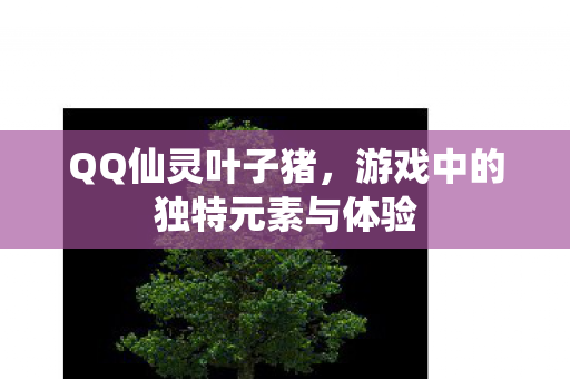 游戏中的独特元素与体验图片