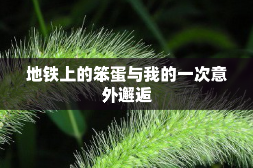 地铁上的笨蛋与我的一次意外邂逅图片