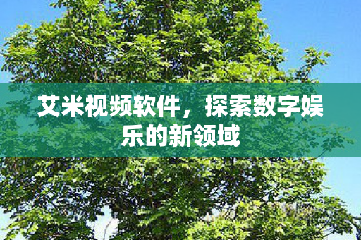 探索数字娱乐的新领域图片