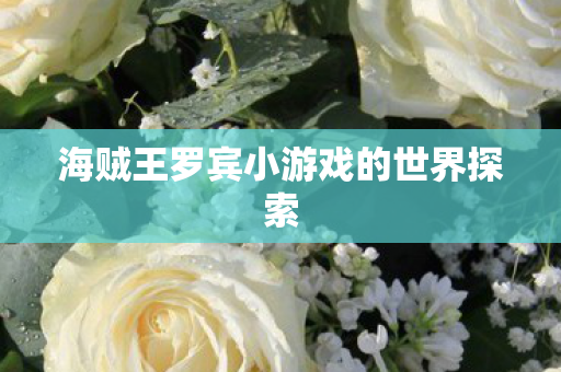 海贼王罗宾小游戏的世界探索图片